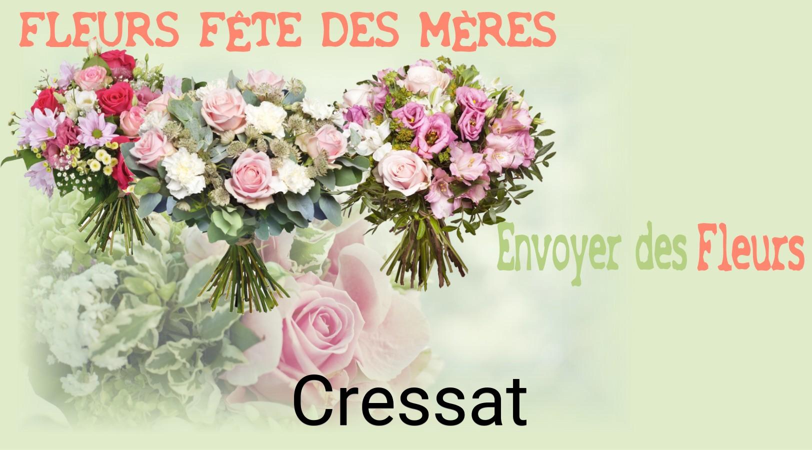 Bouquet de Fête des Mères livré à Cressat